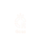 Reddingsbrigade Goes